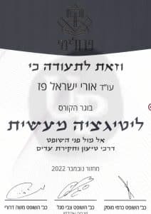 ליטגציה מעשית